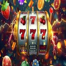 116bet vip